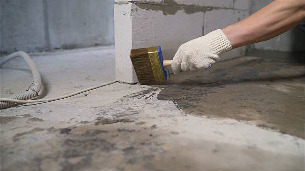Top rated local Waterproofing specialists in Webster, NY